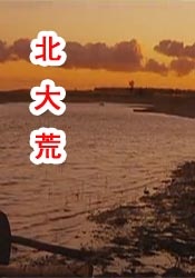 好吊色欧美一区二区三区视频